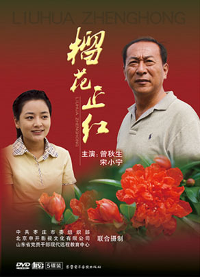 齐鲁电子音像出版社