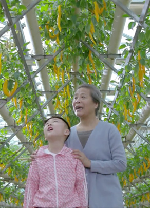 齐鲁电子音像出版社